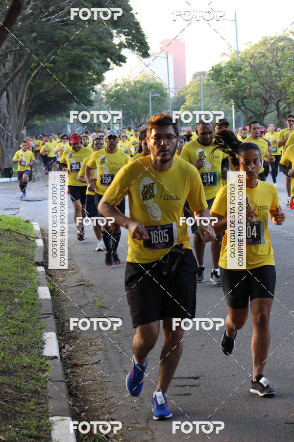 Acquista le foto dell'eventoNat Geo Run in Fotop