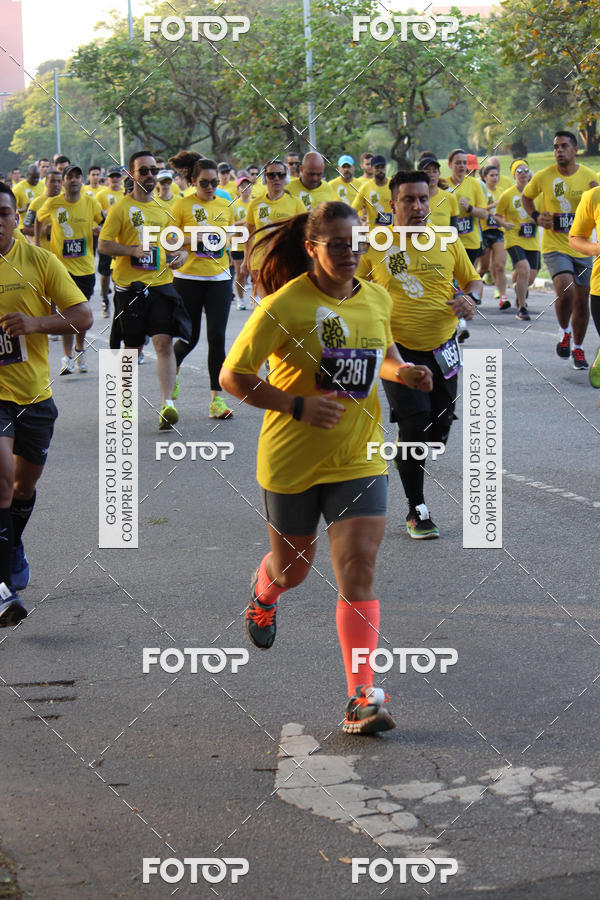 Acquista le foto dell'eventoNat Geo Run in Fotop