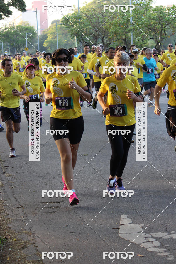 Compre suas fotos do eventoNat Geo Run no Fotop