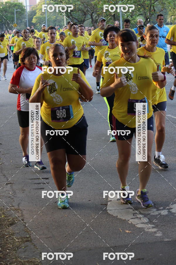 Compre suas fotos do eventoNat Geo Run no Fotop