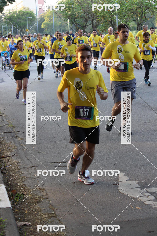 Compre suas fotos do eventoNat Geo Run no Fotop