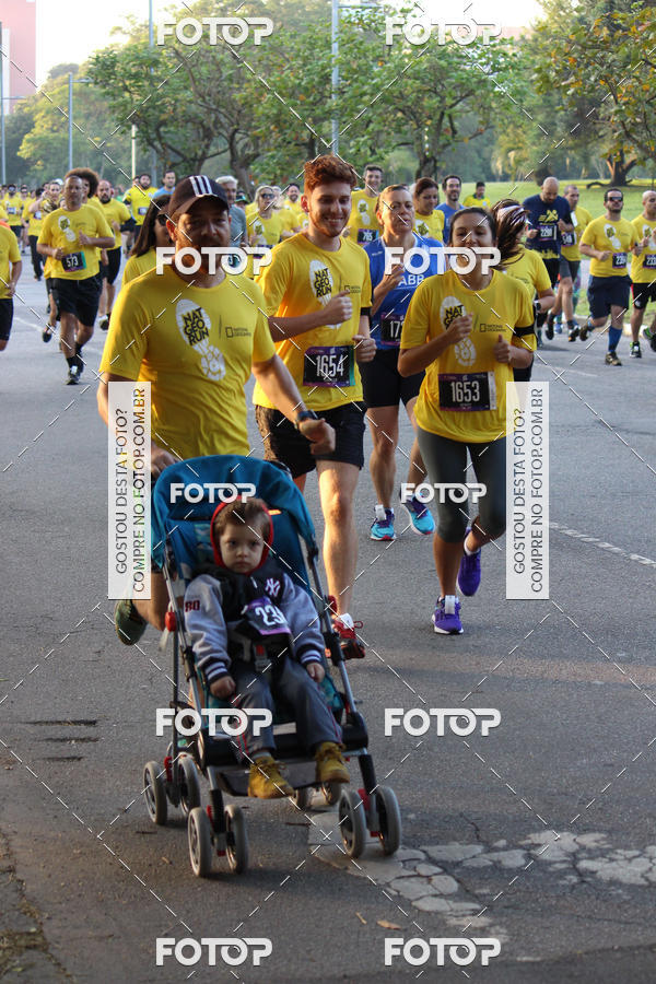 Compre suas fotos do eventoNat Geo Run no Fotop