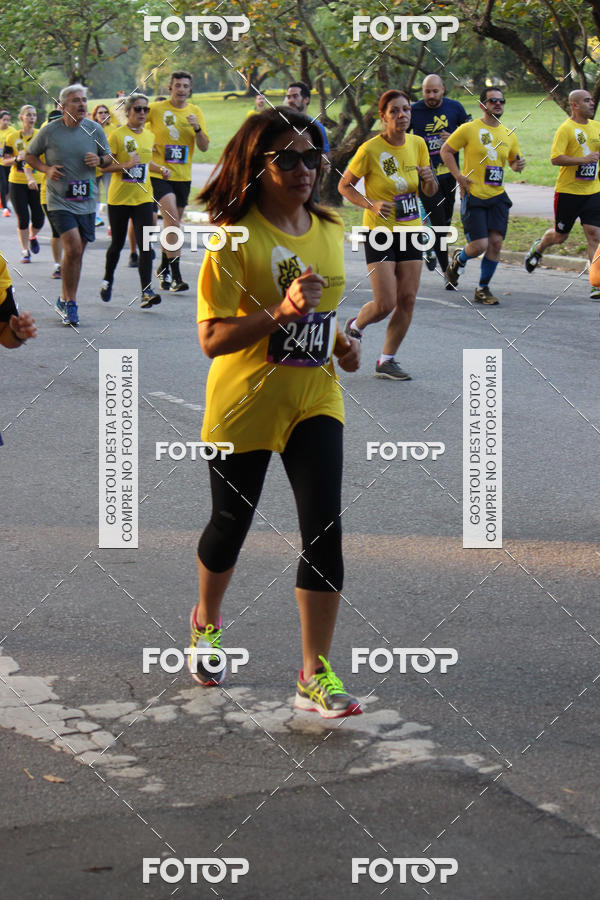 Compre suas fotos do eventoNat Geo Run no Fotop