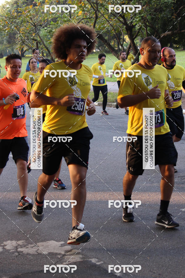 Compre suas fotos do eventoNat Geo Run no Fotop