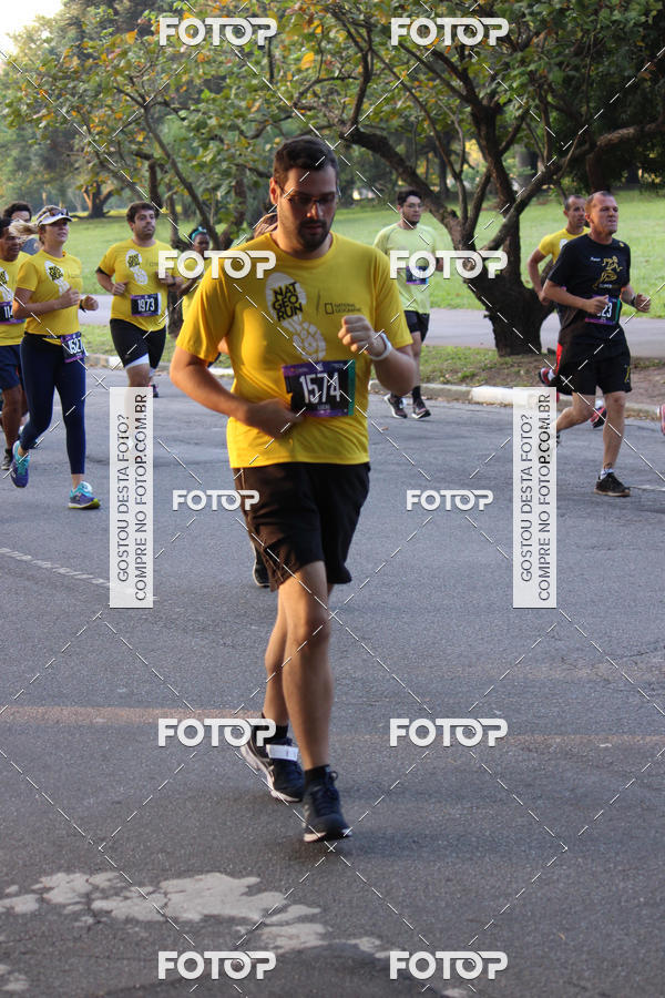 Compre suas fotos do eventoNat Geo Run no Fotop
