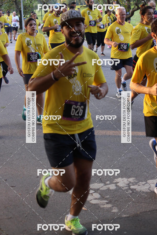 Compre suas fotos do eventoNat Geo Run no Fotop