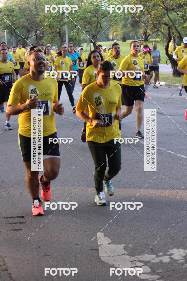 Compre suas fotos do eventoNat Geo Run no Fotop