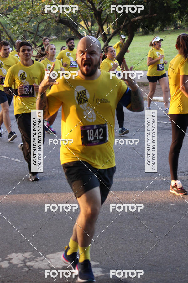 Compre suas fotos do eventoNat Geo Run no Fotop