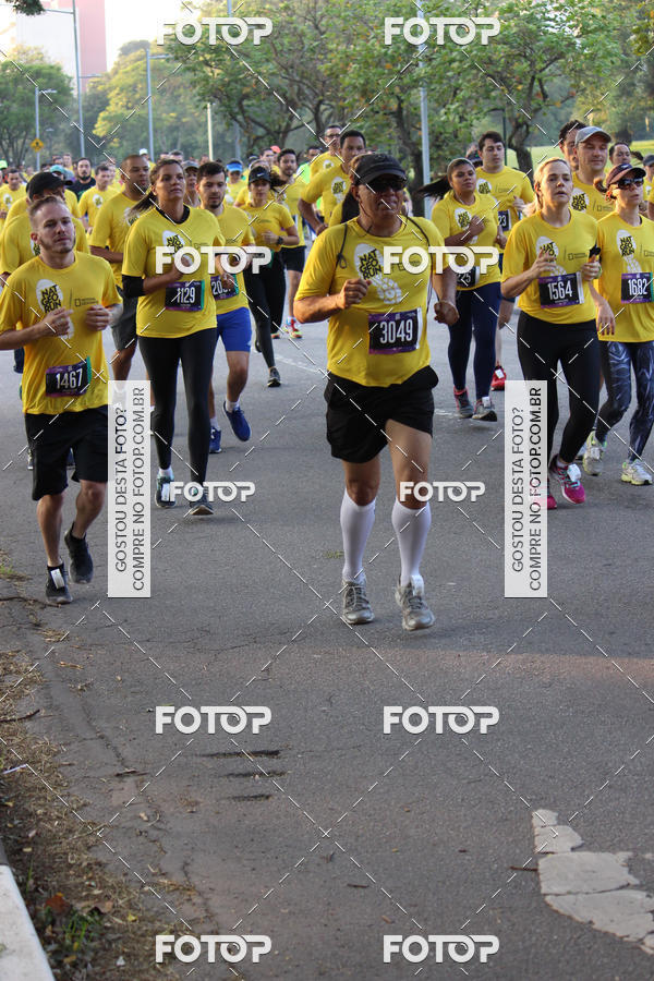 Acquista le foto dell'eventoNat Geo Run in Fotop