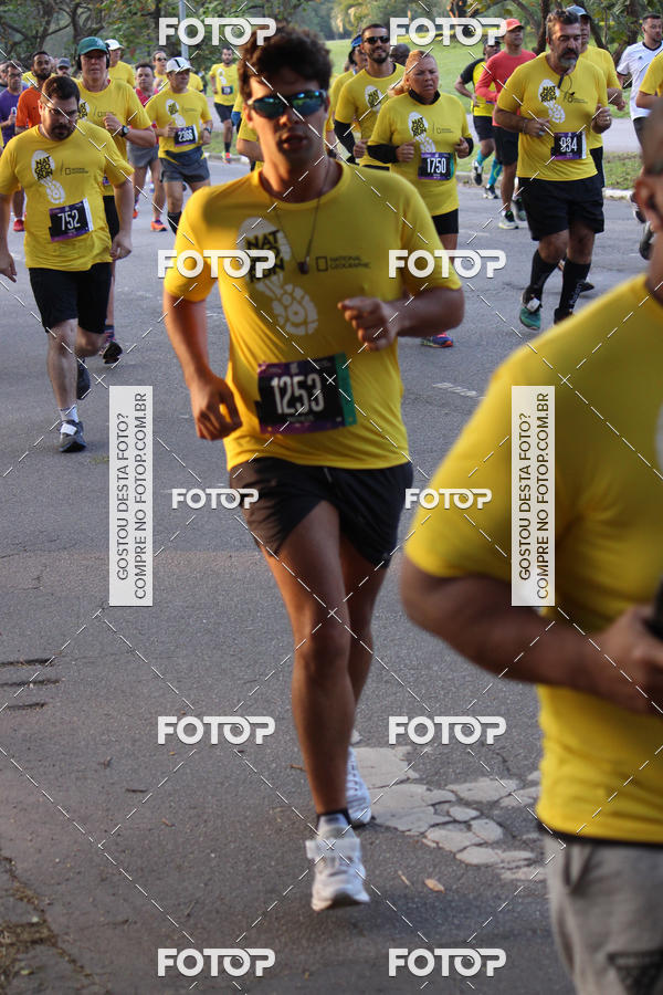 Acquista le foto dell'eventoNat Geo Run in Fotop