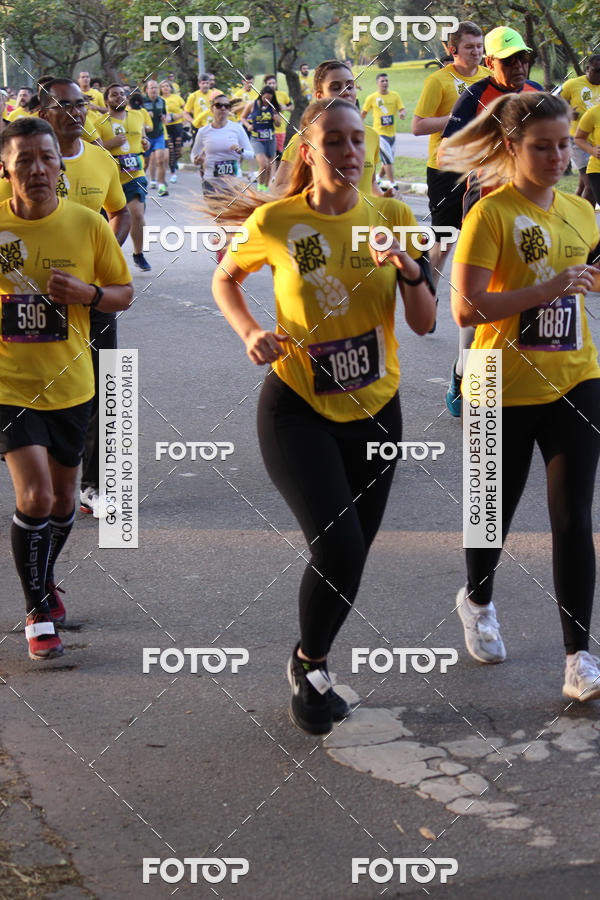 Acquista le foto dell'eventoNat Geo Run in Fotop