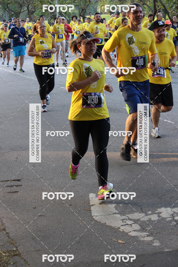 Acquista le foto dell'eventoNat Geo Run in Fotop