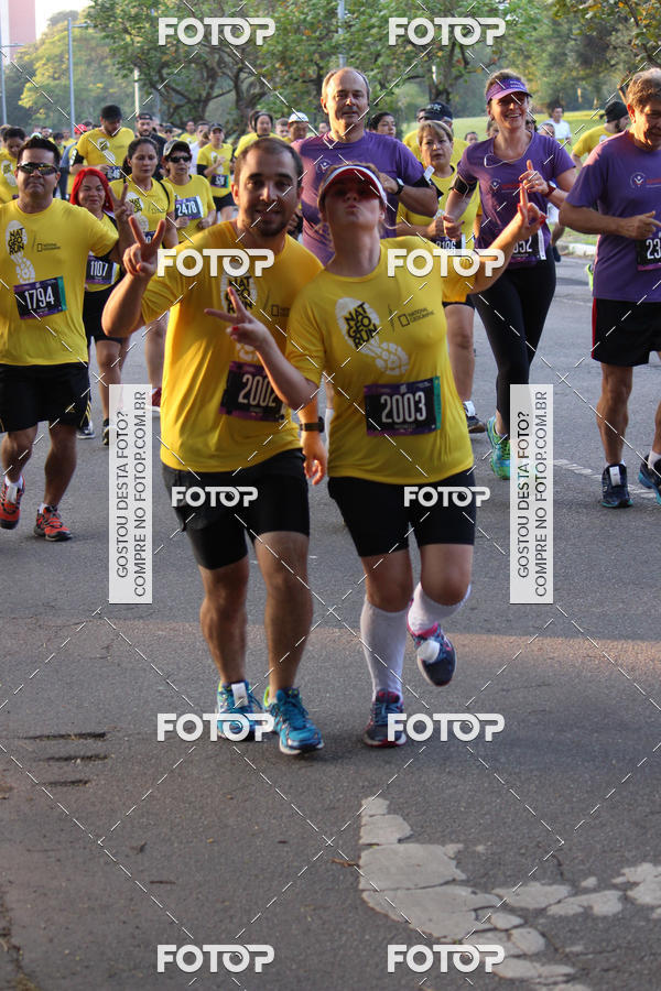 Acquista le foto dell'eventoNat Geo Run in Fotop