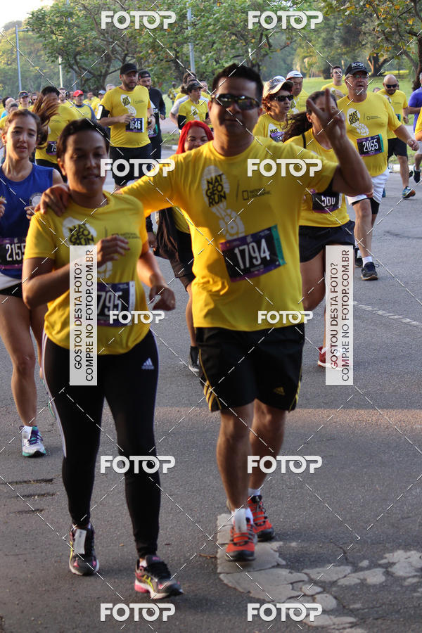 Acquista le foto dell'eventoNat Geo Run in Fotop