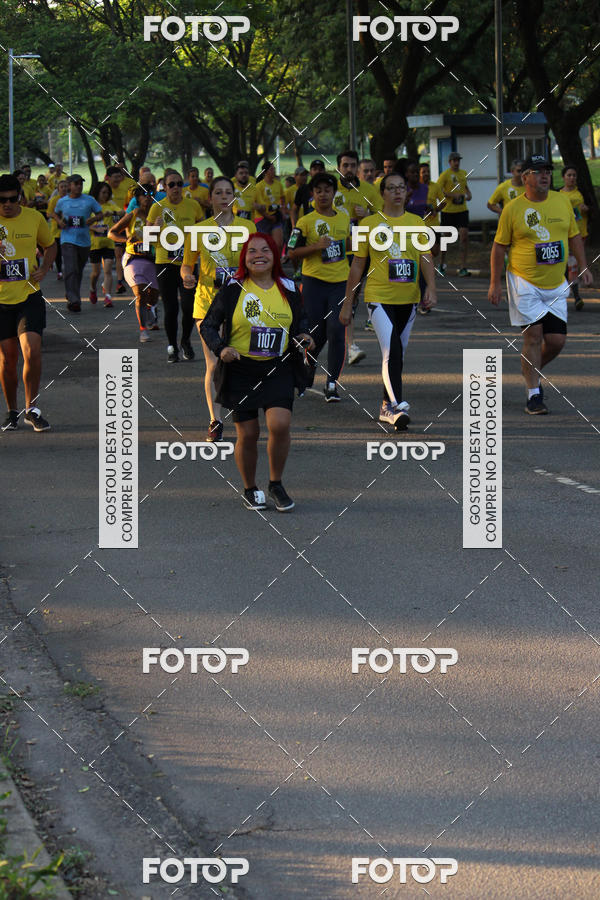 Acquista le foto dell'eventoNat Geo Run in Fotop