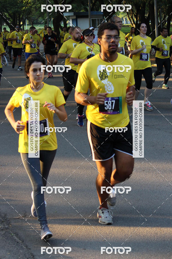 Buy your photos of the eventNat Geo Run on Fotop