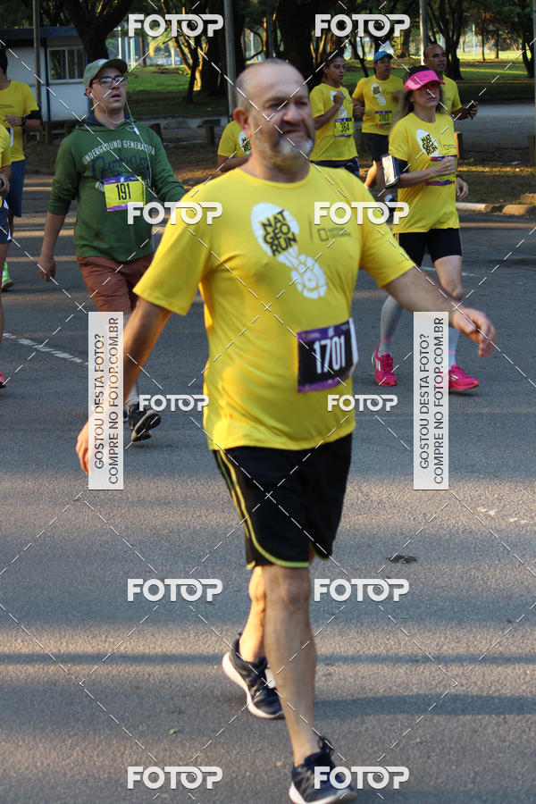 Buy your photos of the eventNat Geo Run on Fotop