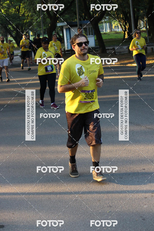 Buy your photos of the eventNat Geo Run on Fotop