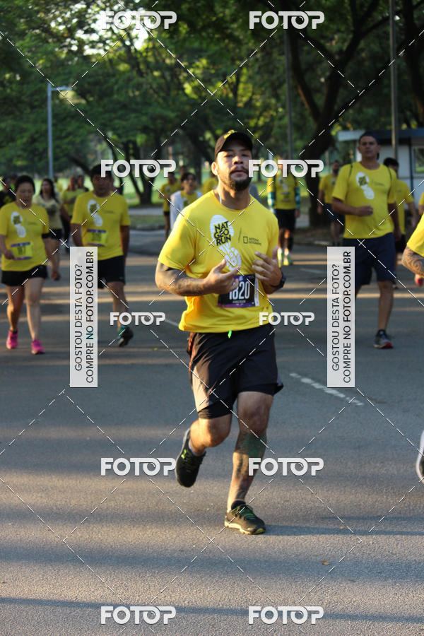 Buy your photos of the eventNat Geo Run on Fotop