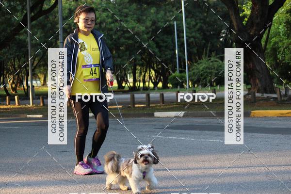 Buy your photos of the eventNat Geo Run on Fotop
