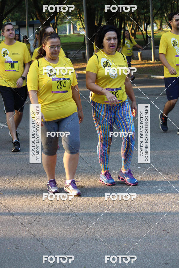 Buy your photos of the eventNat Geo Run on Fotop