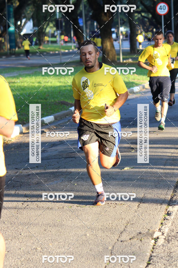 Buy your photos of the eventNat Geo Run on Fotop