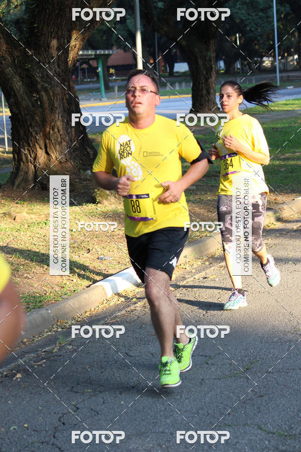 Compra tus fotos del eventoNat Geo Run En Fotop