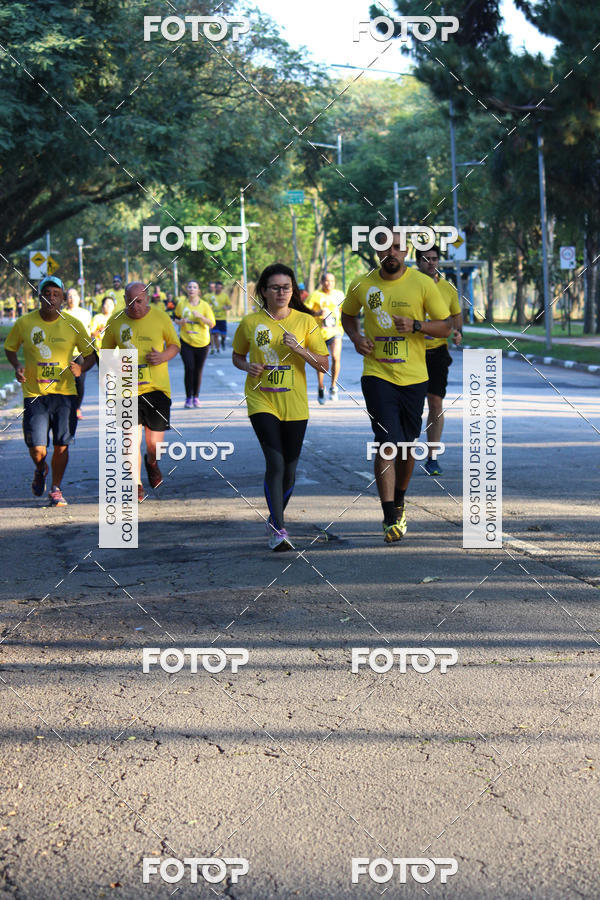 Compra tus fotos del eventoNat Geo Run En Fotop