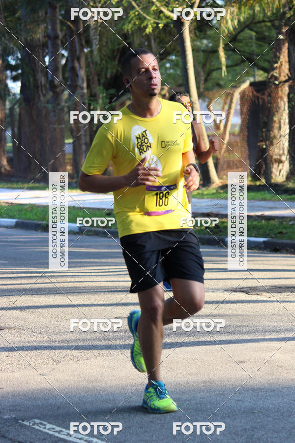 Compra tus fotos del eventoNat Geo Run En Fotop