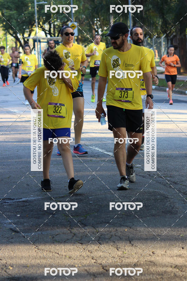 Compra tus fotos del eventoNat Geo Run En Fotop