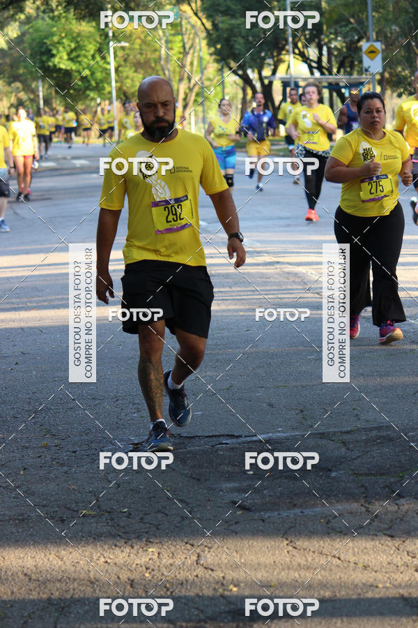 Compra tus fotos del eventoNat Geo Run En Fotop