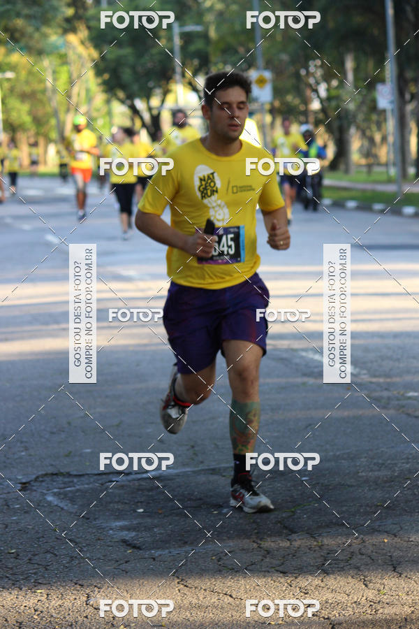 Compre as suas fotos do eventoNat Geo Run no Fotop