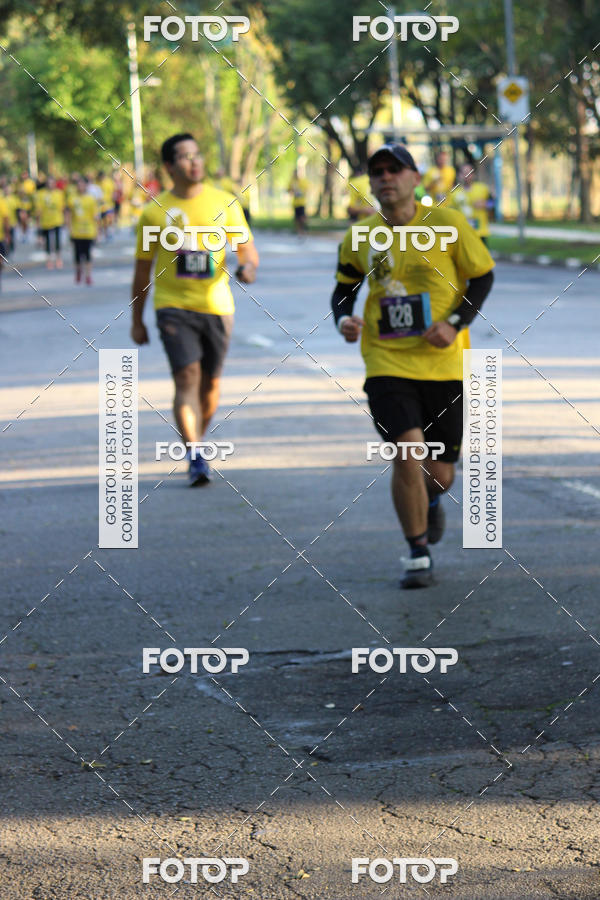 Compre as suas fotos do eventoNat Geo Run no Fotop