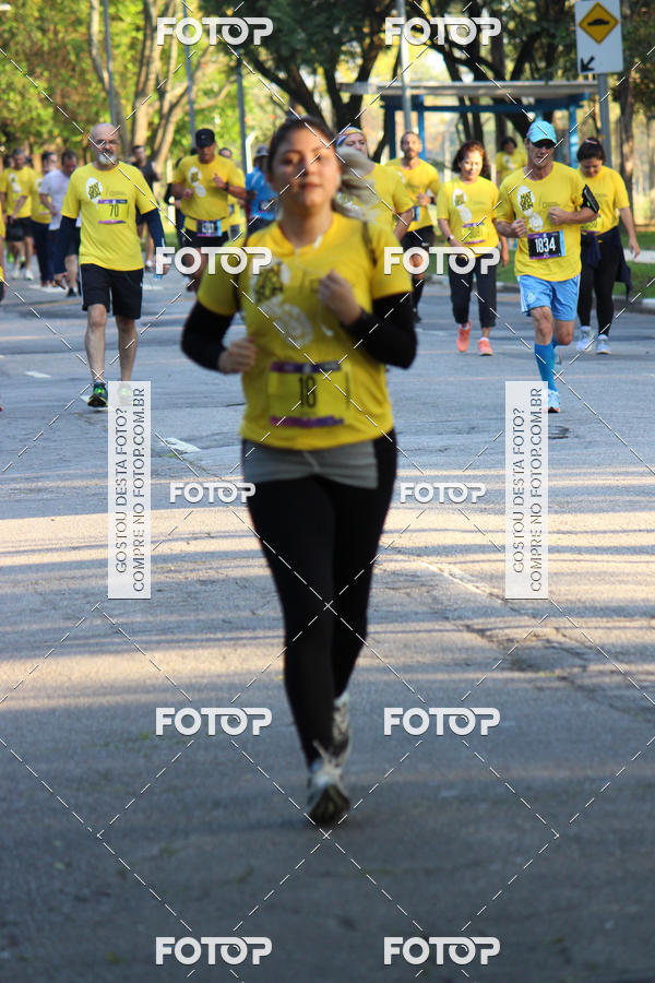 Compre as suas fotos do eventoNat Geo Run no Fotop