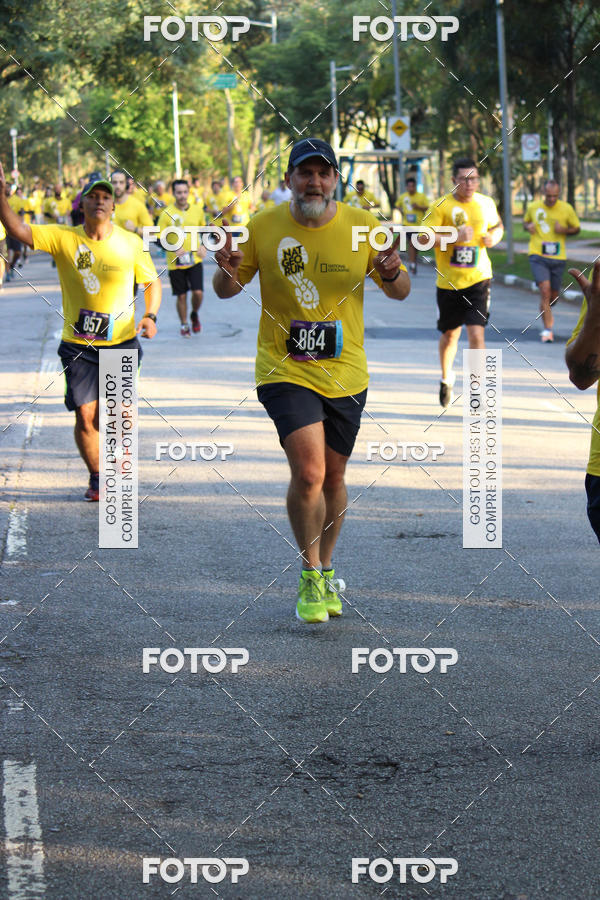 Buy your photos of the eventNat Geo Run on Fotop
