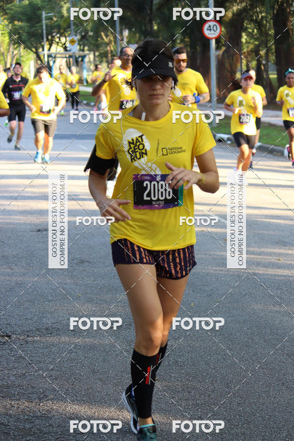 Buy your photos of the eventNat Geo Run on Fotop
