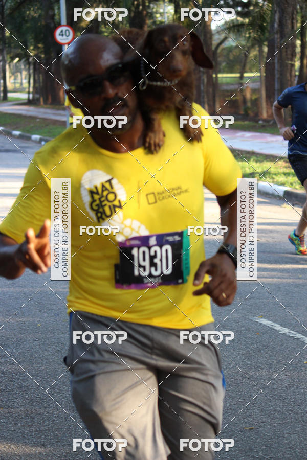 Buy your photos of the eventNat Geo Run on Fotop