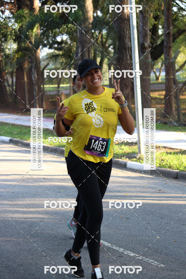Buy your photos of the eventNat Geo Run on Fotop