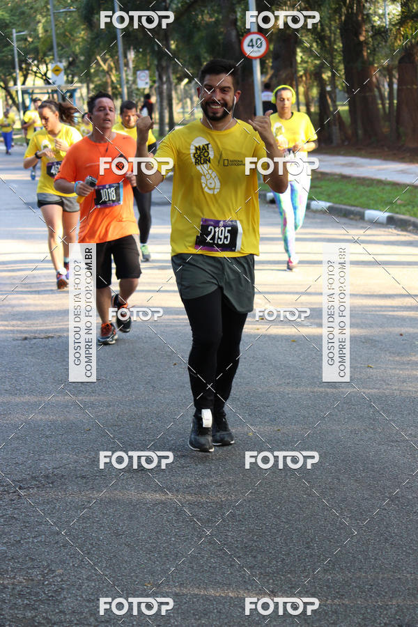 Compre as suas fotos do eventoNat Geo Run no Fotop