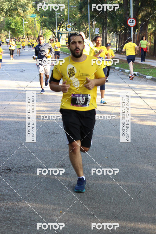 Buy your photos of the eventNat Geo Run on Fotop