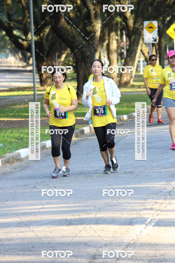 Buy your photos of the eventNat Geo Run on Fotop