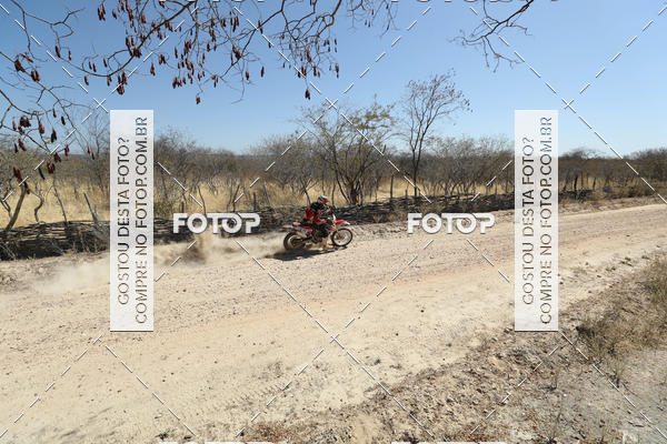 Buy your photos of the eventRally dos Sert�es 2018 on Fotop