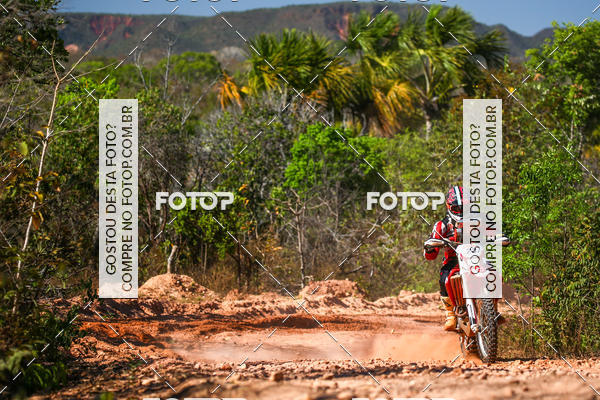 Buy your photos of the eventRally dos Sert�es 2018 on Fotop