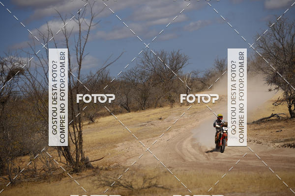 Buy your photos of the eventRally dos Sertes 2018 on Fotop