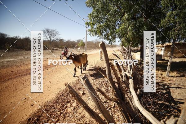 Buy your photos of the eventRally dos Sertes 2018 on Fotop