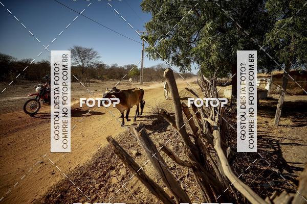 Buy your photos of the eventRally dos Sertes 2018 on Fotop