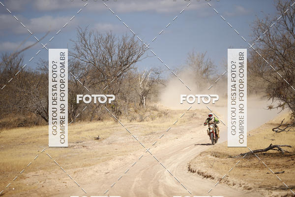 Buy your photos of the eventRally dos Sert�es 2018 on Fotop
