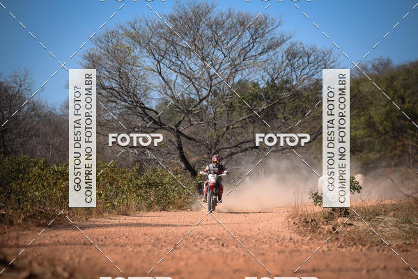 Buy your photos of the eventRally dos Sertes 2018 on Fotop