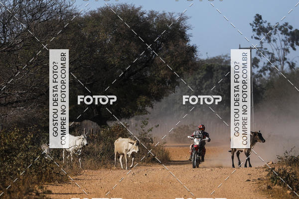 Buy your photos of the eventRally dos Sert�es 2018 on Fotop