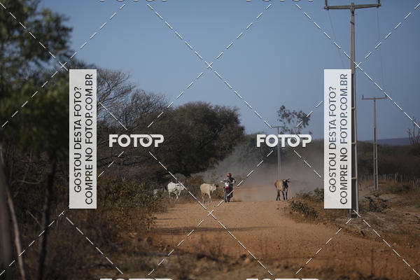 Buy your photos of the eventRally dos Sert�es 2018 on Fotop